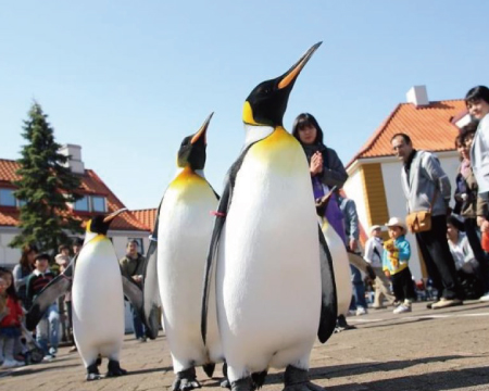 北海道輕旅行5天