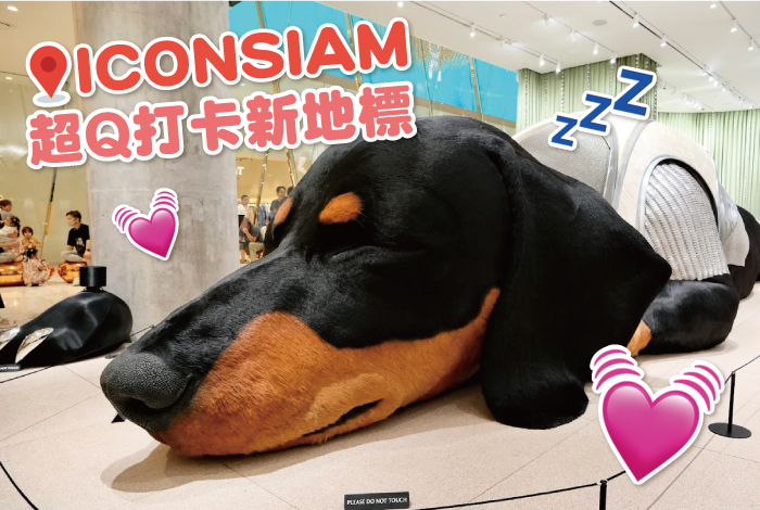 #會呼吸的巨型臘腸犬也來了 紅遍社群的HAUS NOWHERE來泰國啦✨